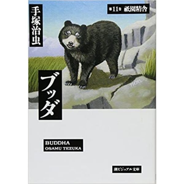 ブッダ 11 (ビジュアル文庫)