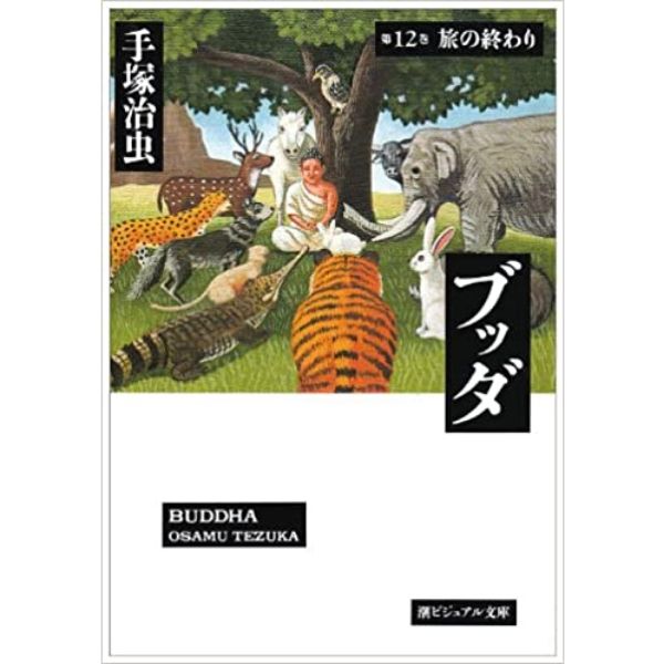 ブッダ 12 (ビジュアル文庫)