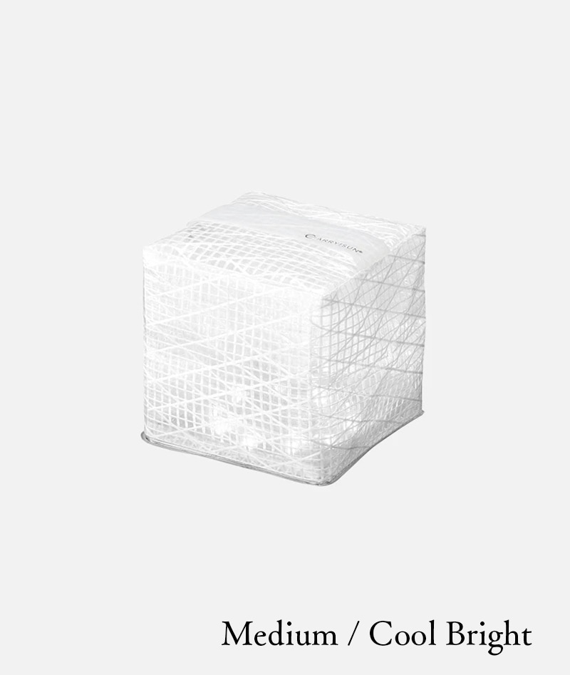 CARRY THE SUN　Medium / Cool Bright