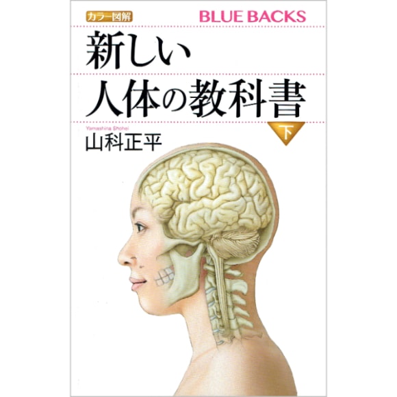 新しい人体の教科書　下