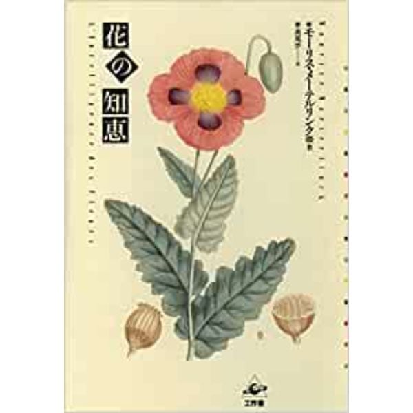 花の知恵