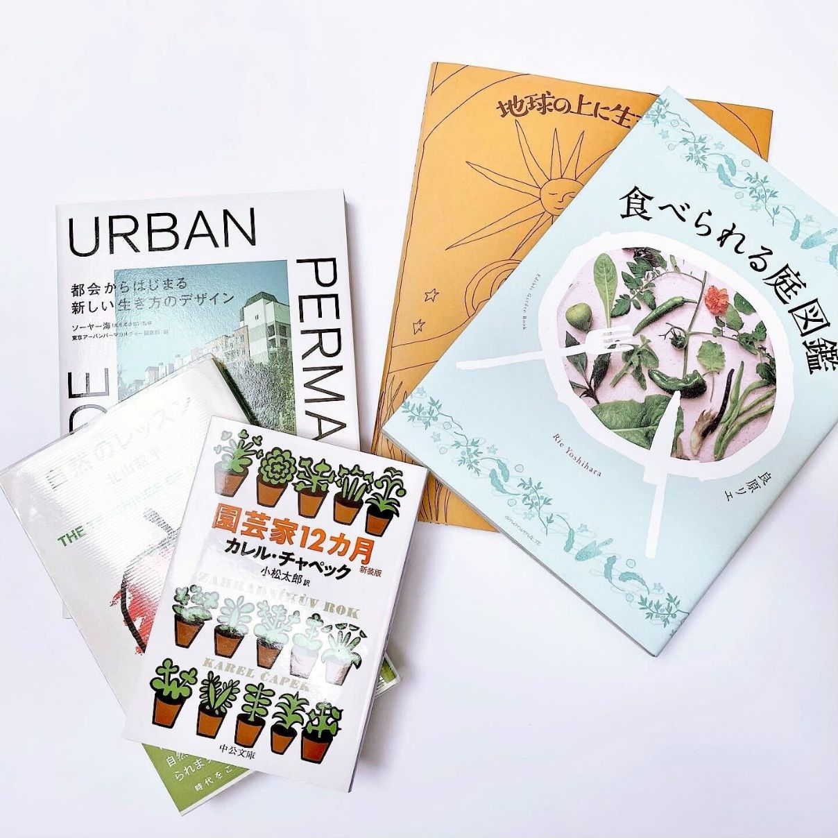 本のつめあわせ　―都会のなかでも自然と生きる　5冊セット