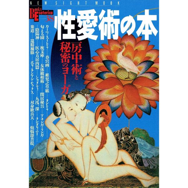 【used】性愛術の本