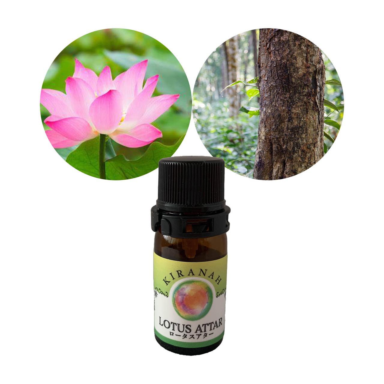Attar Oil Lotus　アッター ロータス  (2.5ml) 