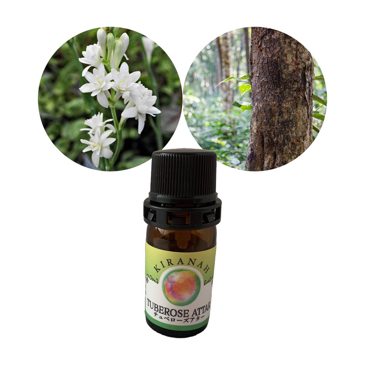 Attar Oil Tuberose　アッター チュベローズ  (2.5ml)  