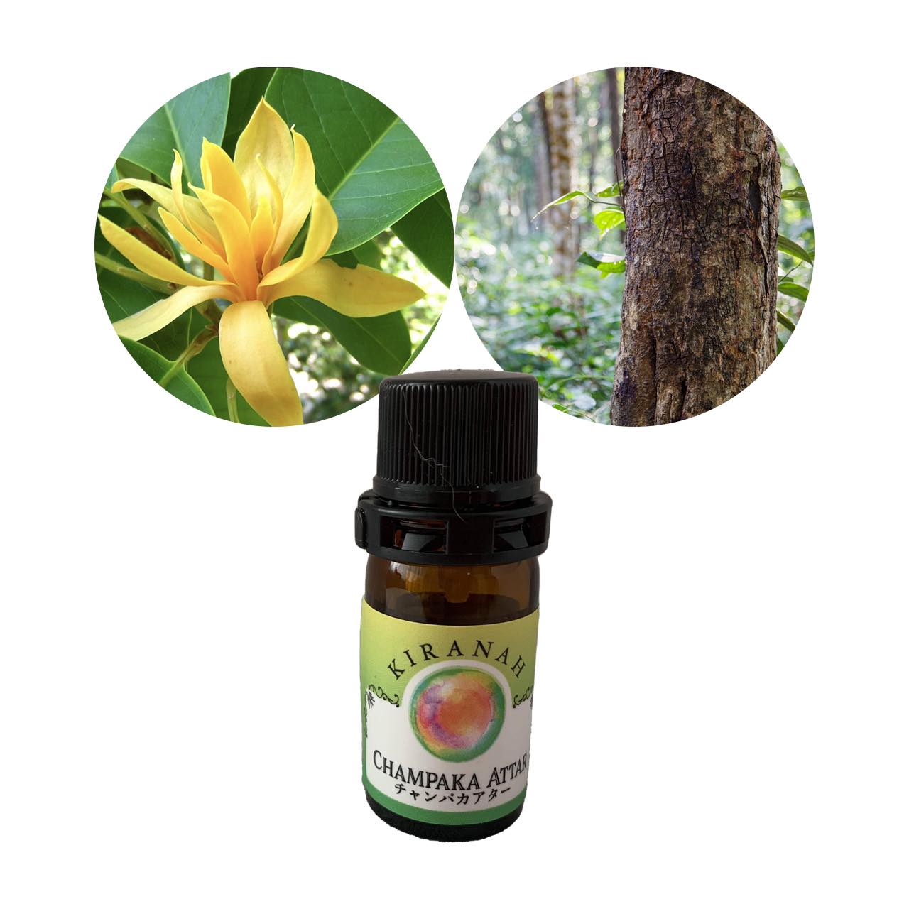 Attar Oil Champaca　アッター チャンパカ  (5ml)  　