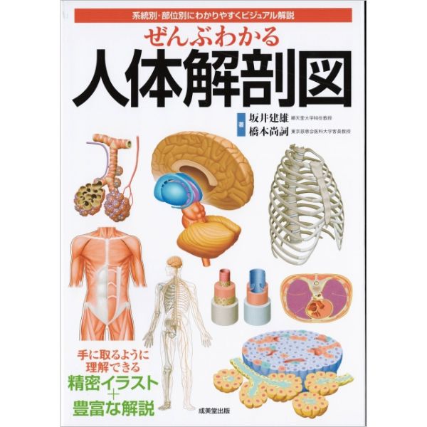 ぜんぶわかる人体解剖図