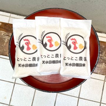 とっとこ農園　天水天棚田米　精米2合（300g）