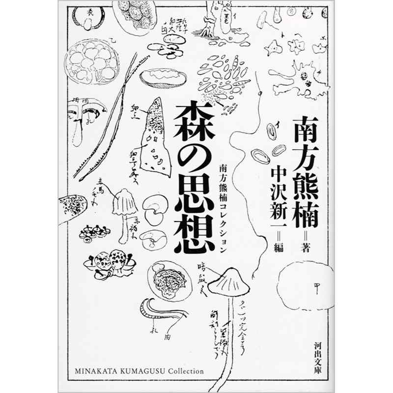 南方熊楠コレクション　森の思想