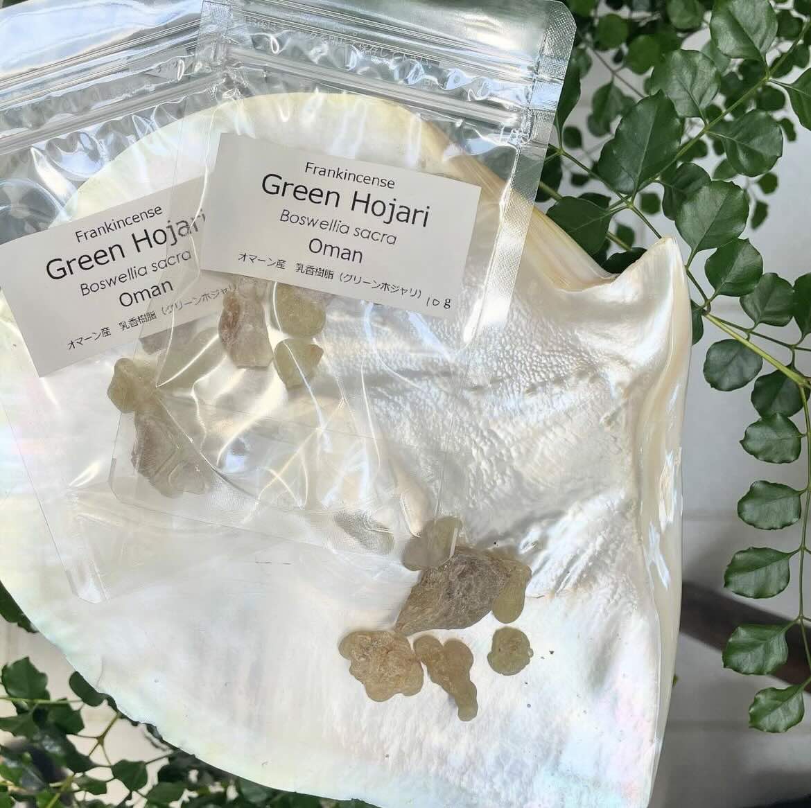 【樹脂】グリーンホジャリ　（フランキンセンス）　10g 