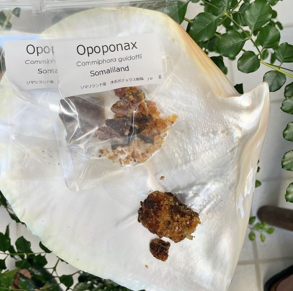 【樹脂】オポポナックス　10g