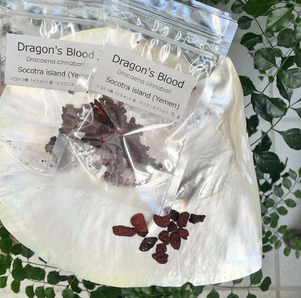 【樹脂】ドラゴンズブラッド　（ソコトラ島産）　5g