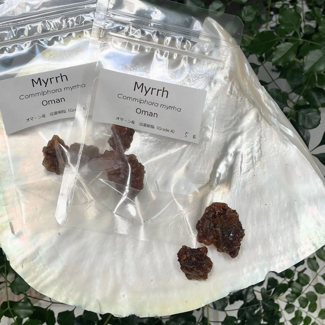 【樹脂】ミルラ（オマーン産/ Grade A )5g