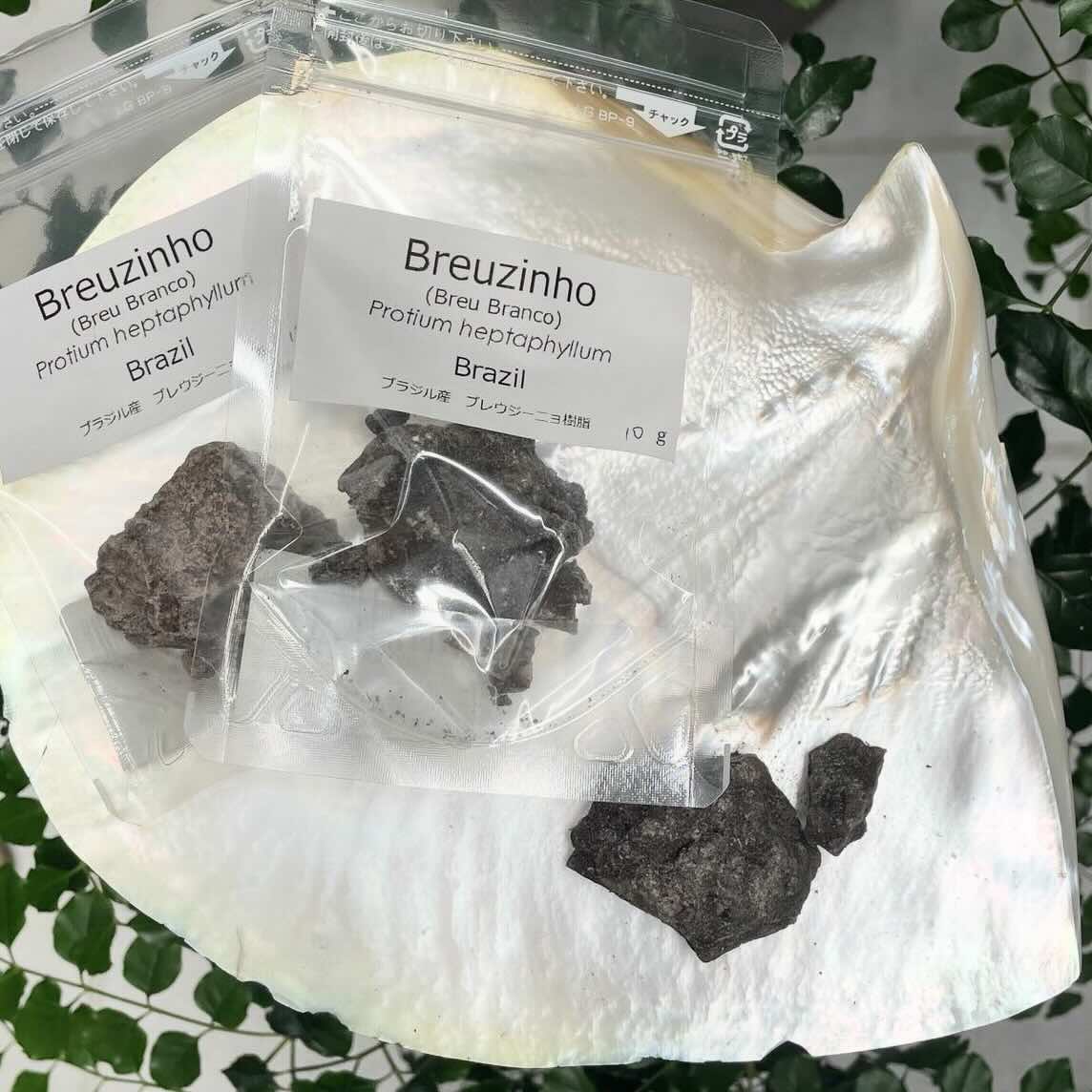【樹脂】ブレウジーニョ　10ｇ
