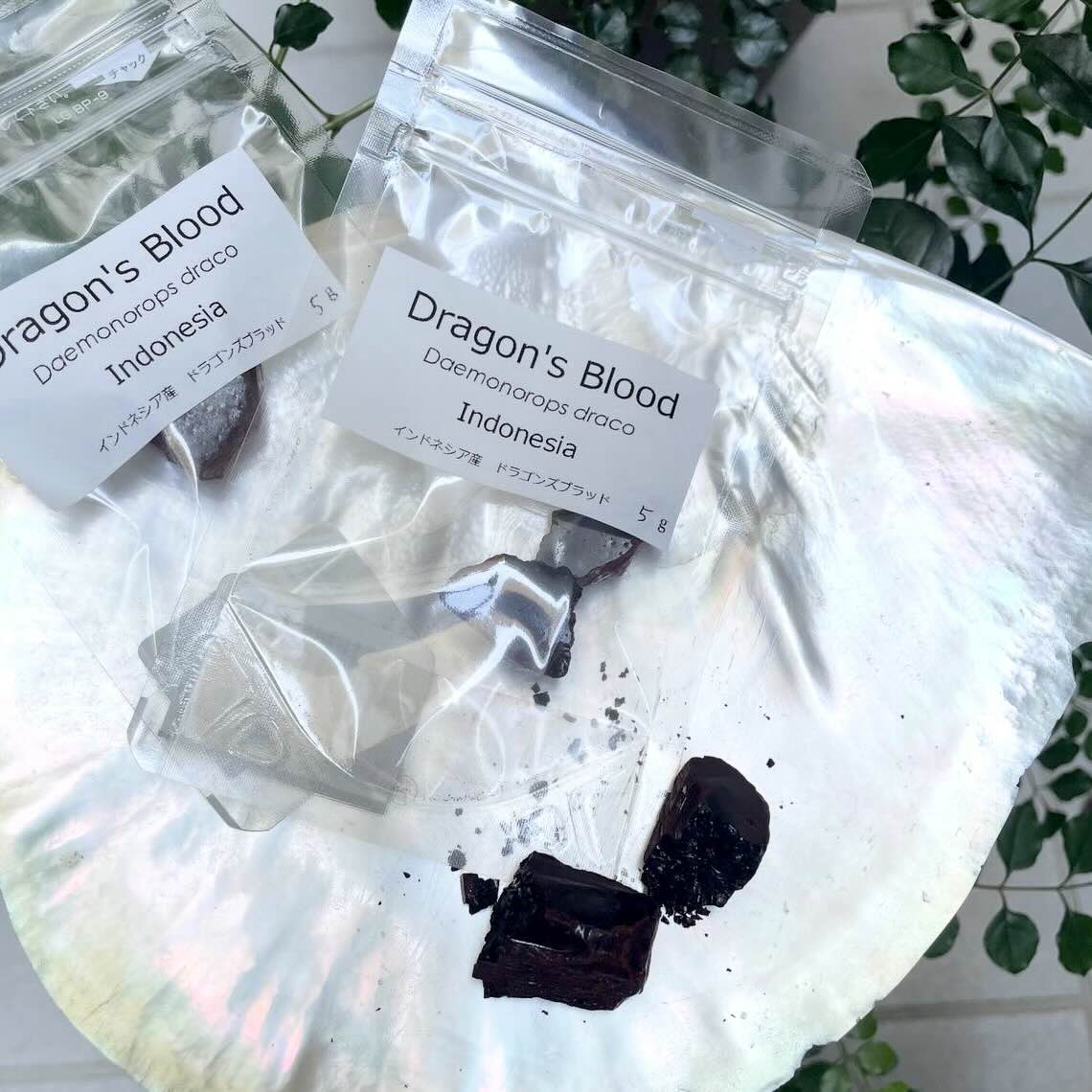 【樹脂】ドラゴンズブラッド 　（インドネシア産）　5g