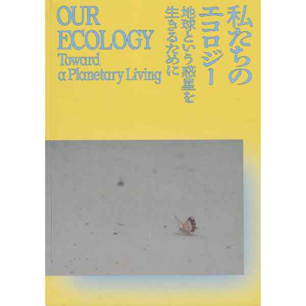私たちのエコロジー