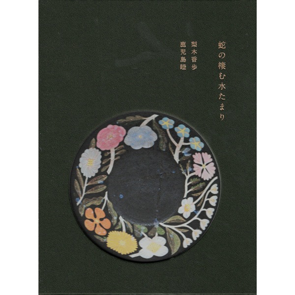 蛇の棲む水たまり