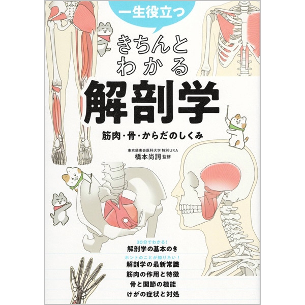一生役立つ　きちんとわかる解剖学