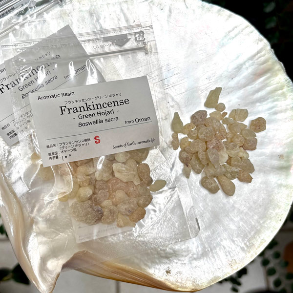【樹脂】グリーンホジャリ・サクラ　Sサイズ 小粒　(フランキンセンス) 10g
