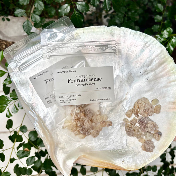 【樹脂】サクラ　(フランキンセンス) 10g