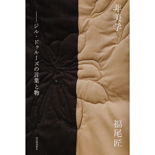 非美学