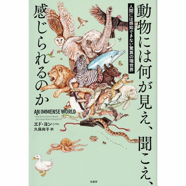 動物には何が見え、聞こえ、感じられるのか