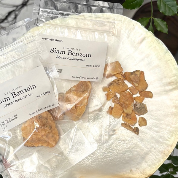 【樹脂】ベンゾイン　シャム  10g
