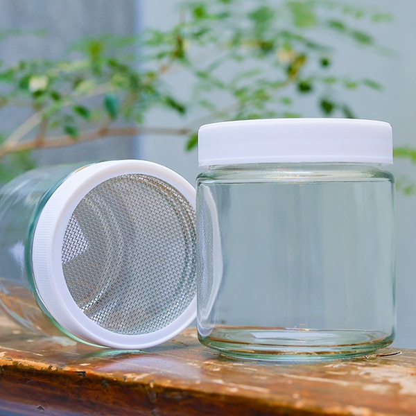 スプラウト栽培専用ジャー（もやしタイプ）