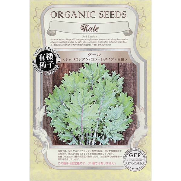 ケール＜レッドロシアン／コラードタイプ／赤軸＞