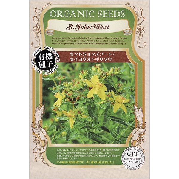 セントジョンズワート／セイヨウオトギリソウ
