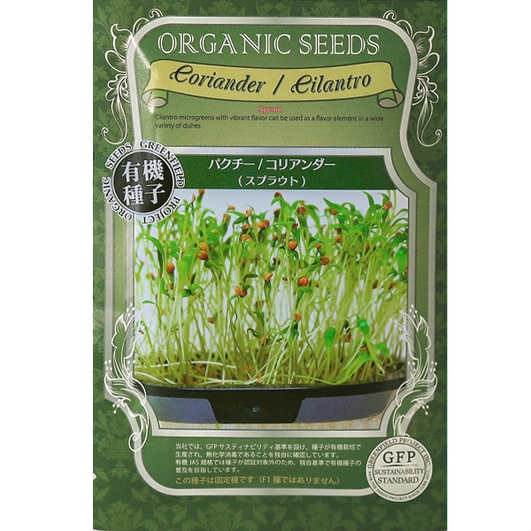 パクチー／コリアンダー（スプラウト）