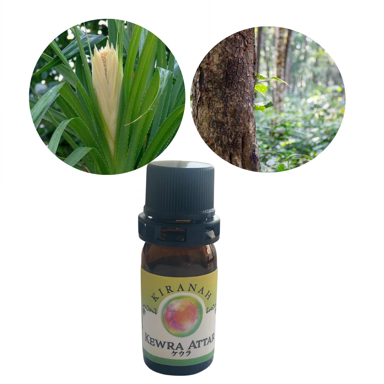 アッター　ケウラ (2.5ml)