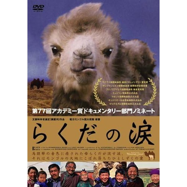 DVD ラクダの涙