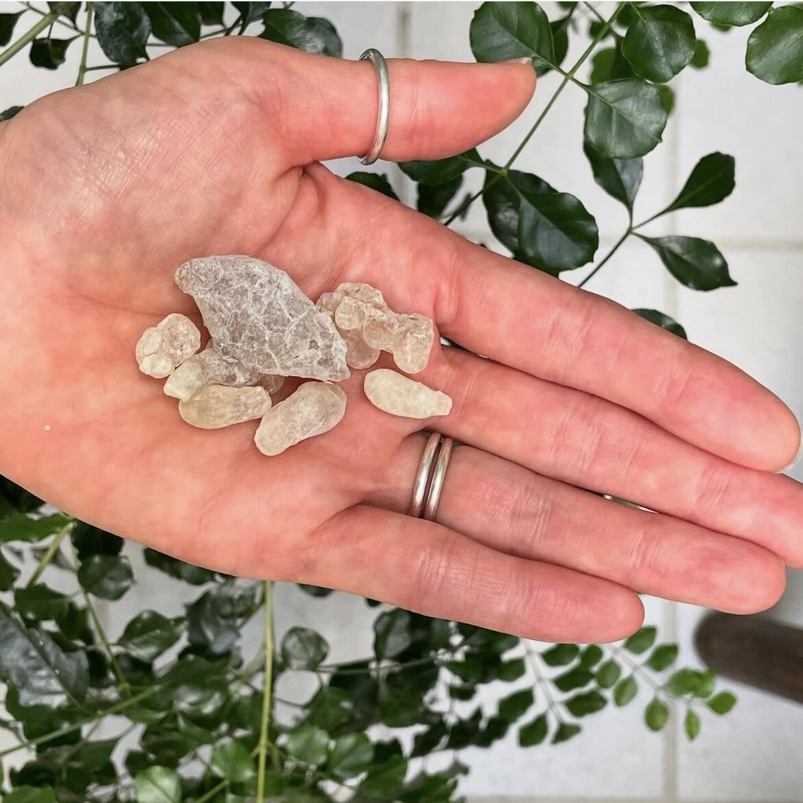 【樹脂】グリーンホジャリ (フランキンセンス) 10g