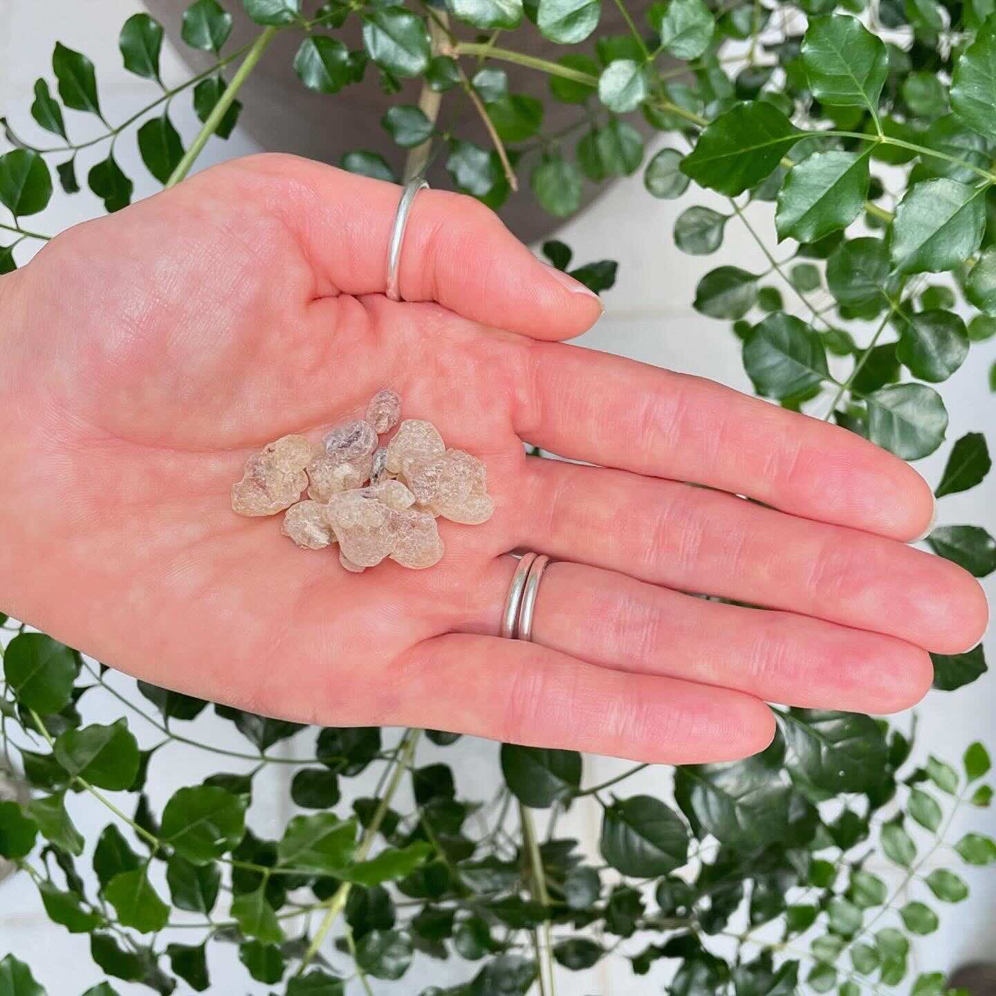 【樹脂】カルテリ　（フランキンセンス）　10g