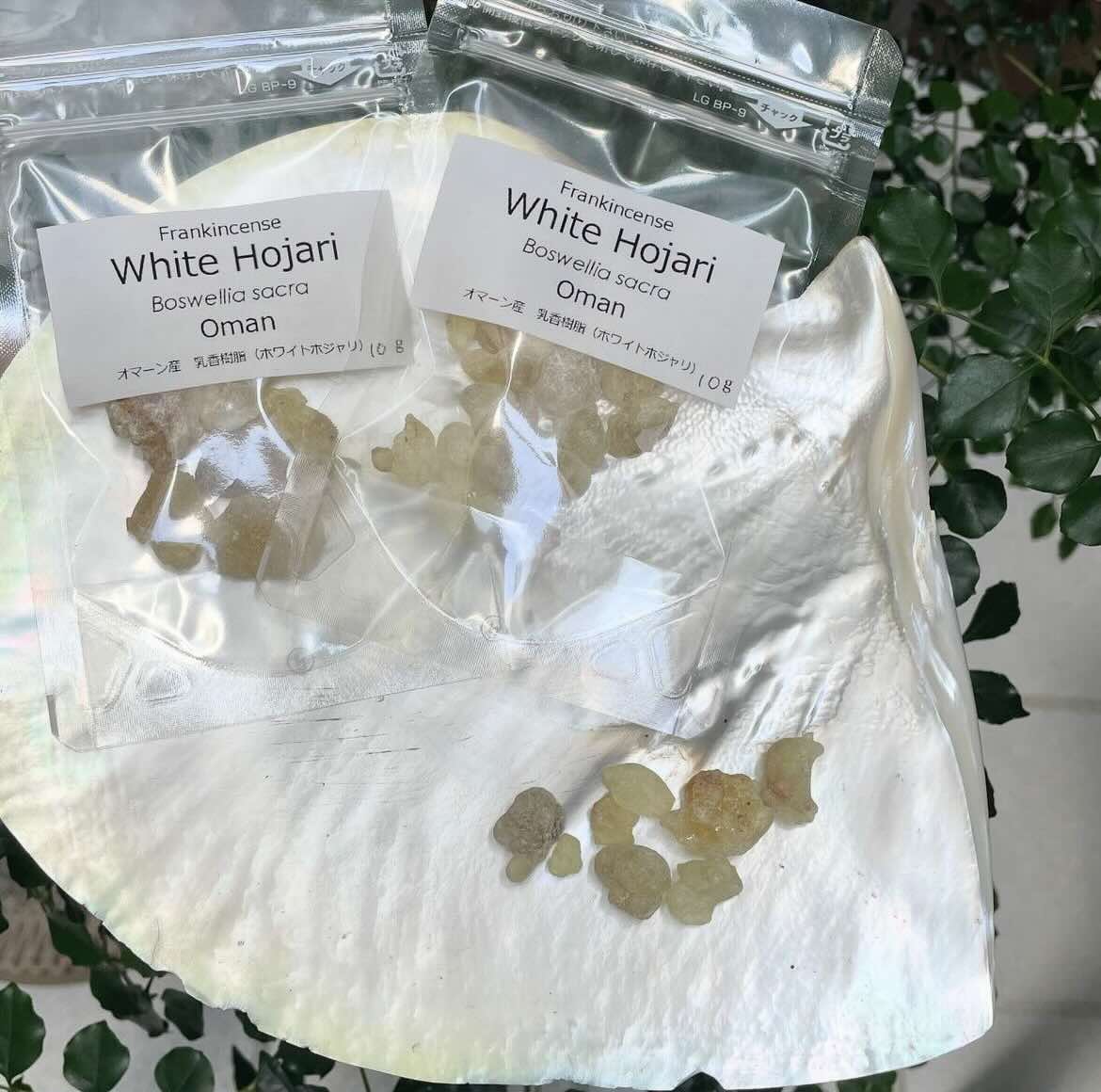 【樹脂】ホワイトホジャリ　（フランキンセンス）　10g 