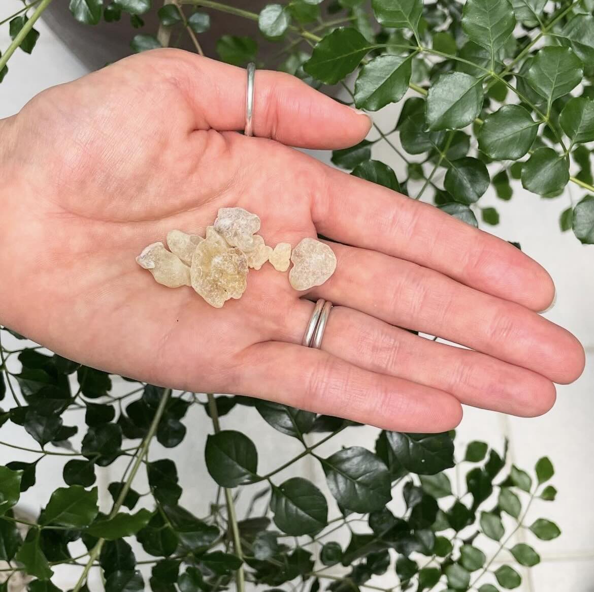 【樹脂】ホワイトホジャリ　（フランキンセンス）　10g 