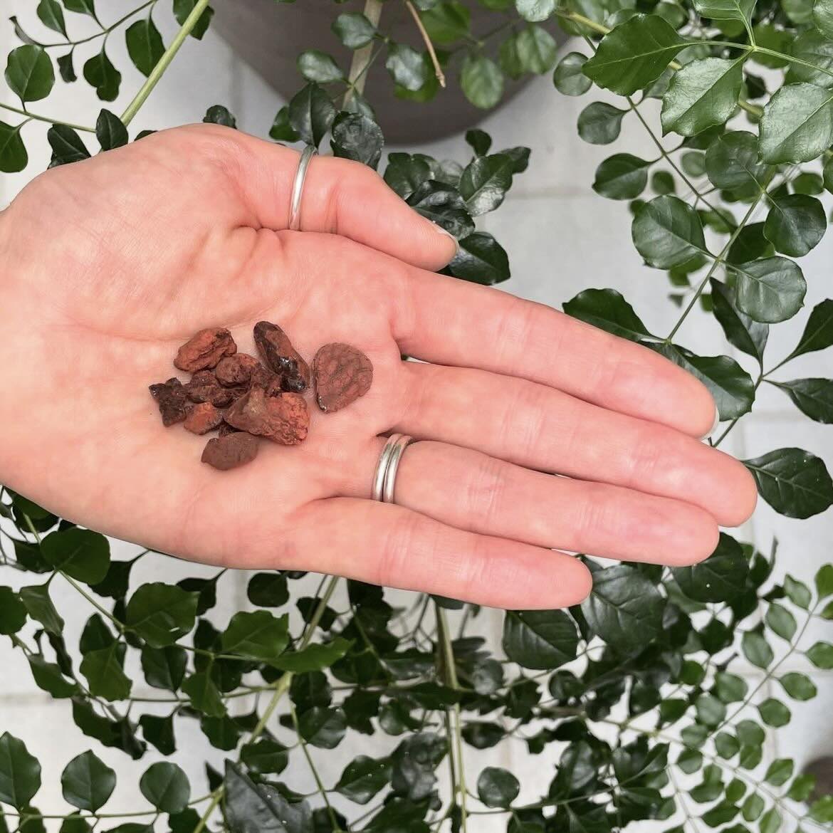 【樹脂】ドラゴンズブラッド (ソコトラ島産) 5g