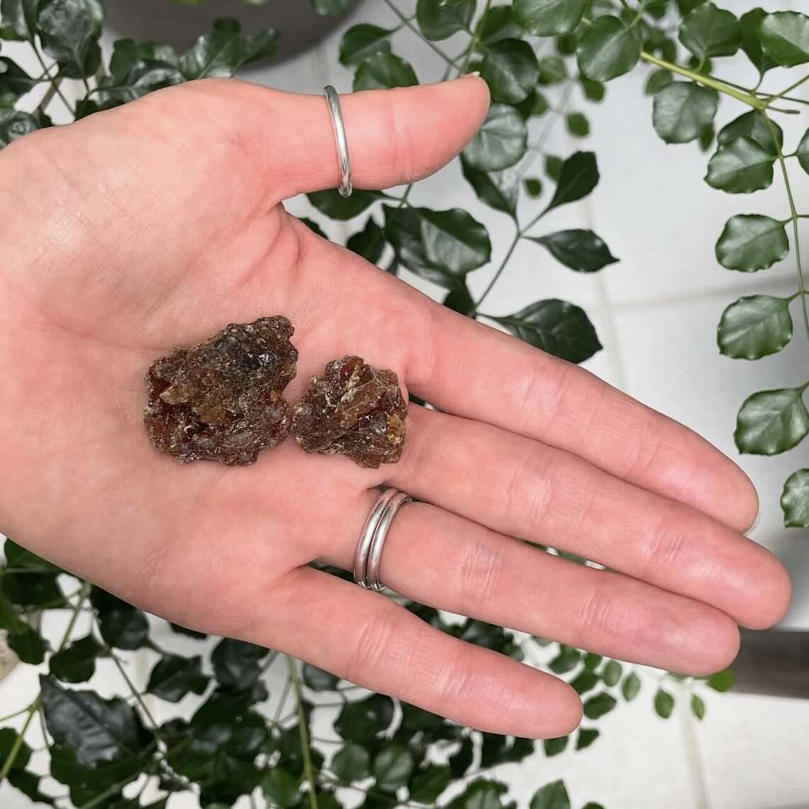 【樹脂】ミルラ（オマーン産/ Grade A )5g