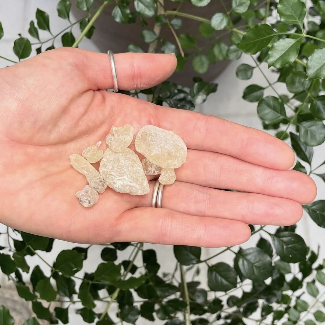 【樹脂】ダンマル 10g