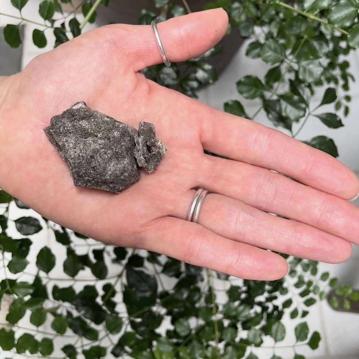 【樹脂】ブレウジーニョ 10g