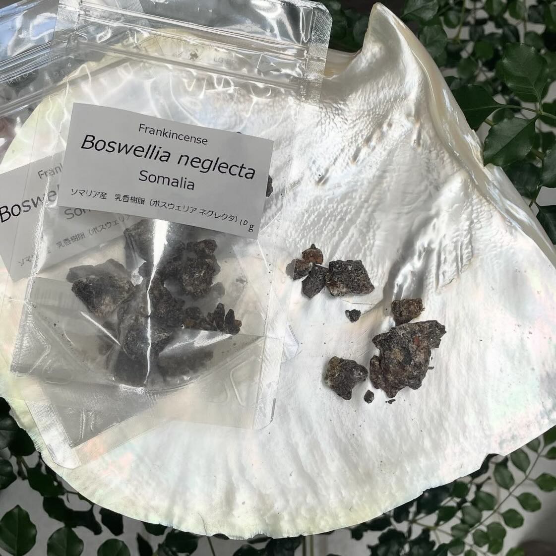 【樹脂】ネグレクタ　（フランキンセンス）　10ｇ