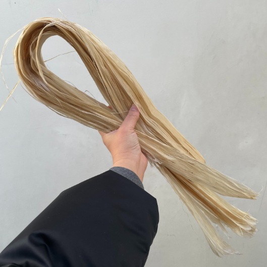 精麻（上）100グラム