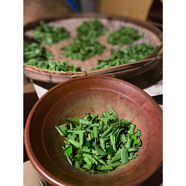 発酵月桃茶　Fermented Getto Tea