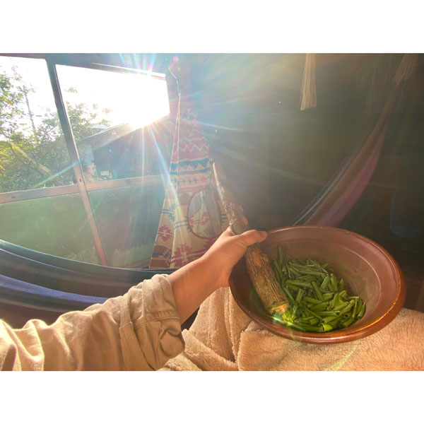 発酵月桃茶　Fermented Getto Tea
