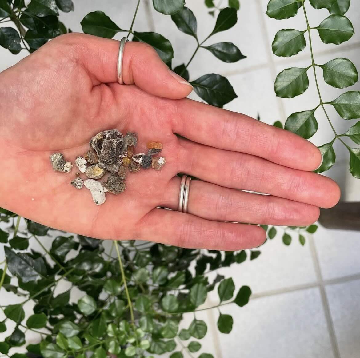 【樹脂】 パロサント 3g