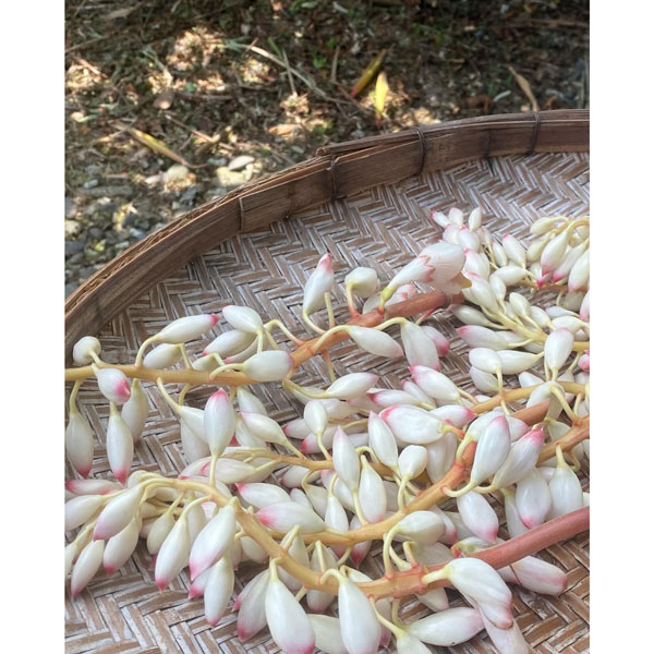 月桃花蒸留水