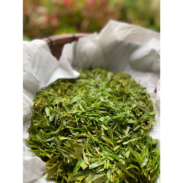ヨモギオイル　Mugwort Oil