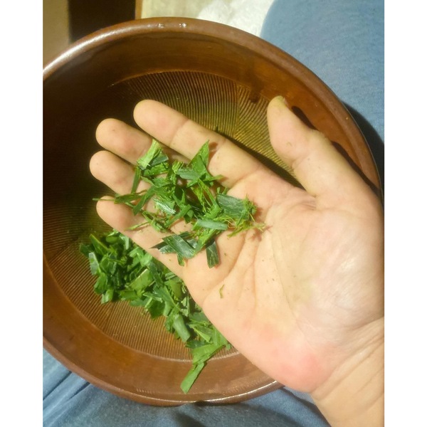 ヨモギオイル　Mugwort Oil