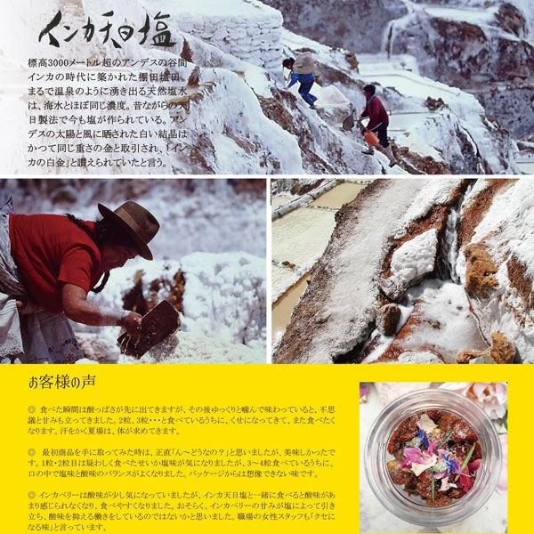インカ天日塩 300g